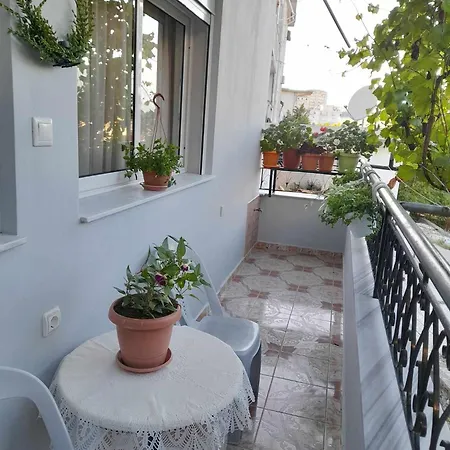 Elion Apartment